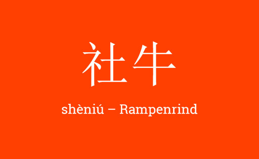 ZurSprache100_sheniu