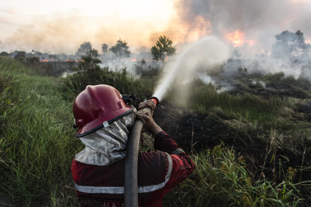 News Bilder des Tages Peat Fires In Ogan Ilir, SouPeat Fires In Ogan Ilir, South Sumatra Peatland fires occurred on Wednesday, July 28, 2021 in Sungai Rambutan village, Ogan Ilir Regency, South Sumatra. This peatland burned at 4.00 pm Ogan Ilir Regency Indonesia prasetya-notitle210728_npwco PUBLICATIONxNOTxINxFRA Copyright: xSigitxPrasetyax