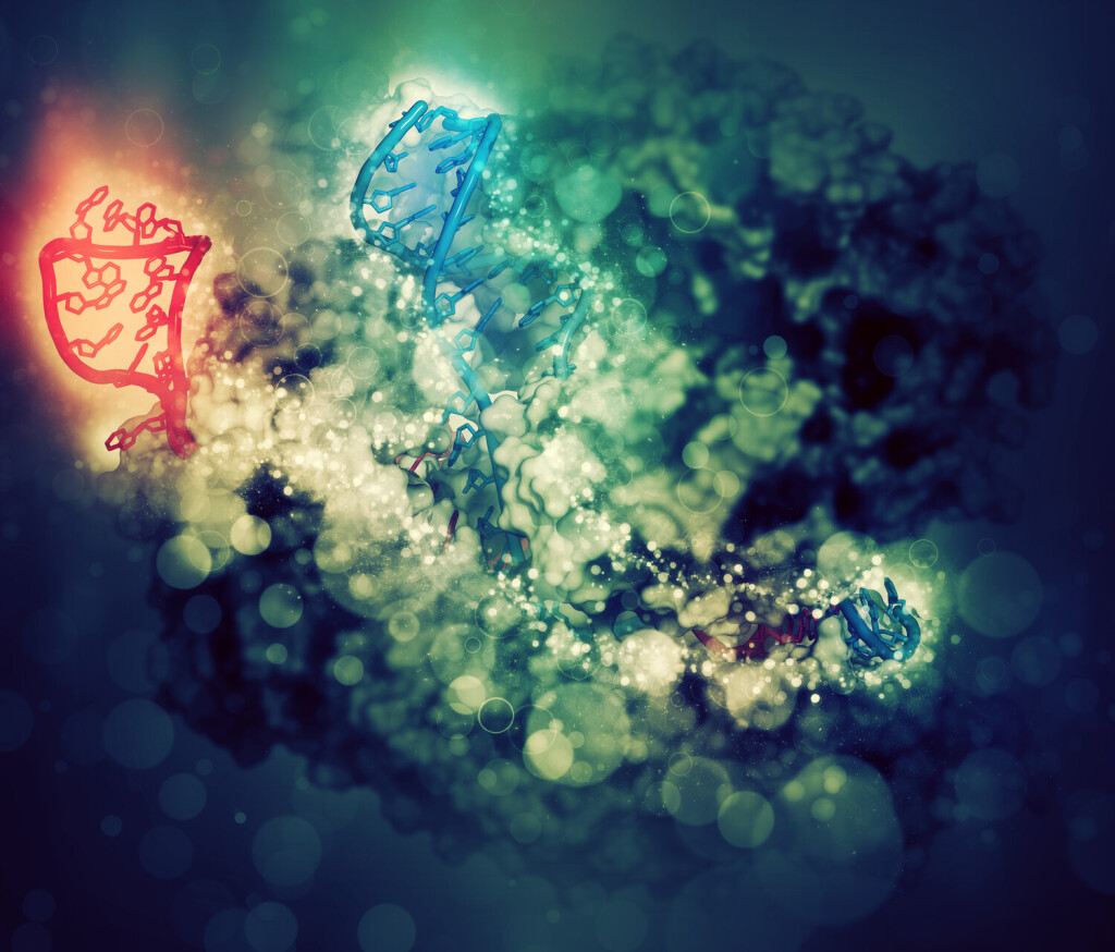 CRISPR-CAS9 gene editing complex from Streptococcus pyogenes. 3D render. The Cas9 nuclease protein uses a guide RNA sequence to cut DNA. *** CRISPR CAS9 Gens Bearbeitung Komplex von Streptokokke pyogenes 3D Rendern der Cas9 nuclease Eiweiß nutzt einer Ratgeber RNA Sequenz an angeschnitten DNA 2783891
