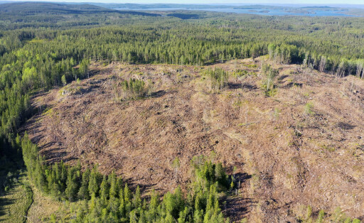 Kahlschlag, Rodung in Schweden, Luftbild, Schweden deforestation, aerial view, Sweden BLWS686666 *** Clearcutting, Grubbing-up in Sweden, Aerial view, Sweden deforestation, Aerial view, Sweden BLWS686666 Copyright: xblickwinkel/F.xHeckerx