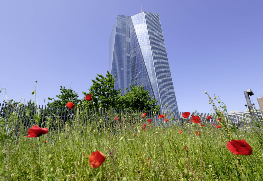 DEU , DEUTSCHLAND : Die Europaeische Zentralbank EZB in Frankfurt , 25.05.2023 DEU , GERMANY : The European Central Bank ECB in Frankfurt , 25.05.2023 *** DEU , GERMANY The European Central Bank ECB in Frankfurt , 25 05 2023 DEU , GERMANY The European Central Bank ECB in Frankfurt , 25 05 2023