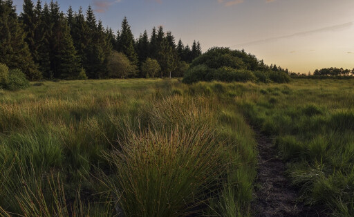 nature-gdf66acb72_1920