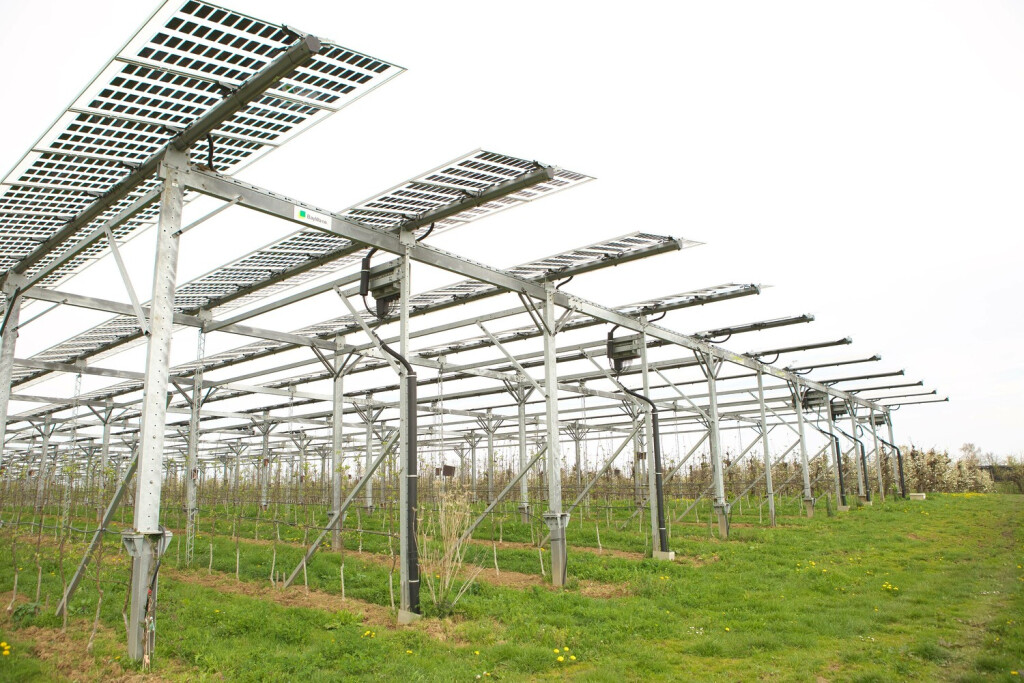RECORD DATE NOT STATED Forschungsanlage für Agri-Photovoltaik Agri-PV auf einer Obstplantage in Rheinland-Pfalz Agri-Photovoltaik Agri-PV. Versuchsanlage des Fraunhofer-Institut für Solare Energiesysteme Fraunhofer FSE auf einer Plantage für Obstanbau und Sonderkulturen. Die gleichzeitige Nutzung von landwirtschaftlichen Flächen für die Pflanzenproduktion und die Erzeugung von Sonnenstrom wird hier mit verschiedenen technischen Konzepten untersucht. Ziel der Forschung ist die Erschließung großer Flächen für die nachhaltige Erzeugung elektrischer Energie. Die zum Teil transparenten Solarmodule erzeugen weniger Strom als herkömmliche Flächenanlagen, schützen aber auch die Pflanzen vor Hagelschlag und Regen. Rheinland-Pfalz, Deutschland, 22.04.2023 Copyright: JOKER/PetraxSteuer JOKER230422516551