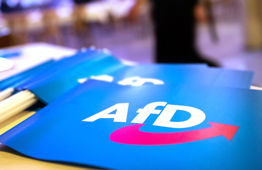 ARCHIV - 24.11.2018, Bayern, Greding: Fähnchen mit dem Logo der AfD liegen beim Landesparteitag der AfD Bayern auf einem Tisch. (zu dpa "Kreistag muss neu über AfD-Nachrücker entscheiden") Foto: Daniel Karmann/dpa +++ dpa-Bildfunk +++