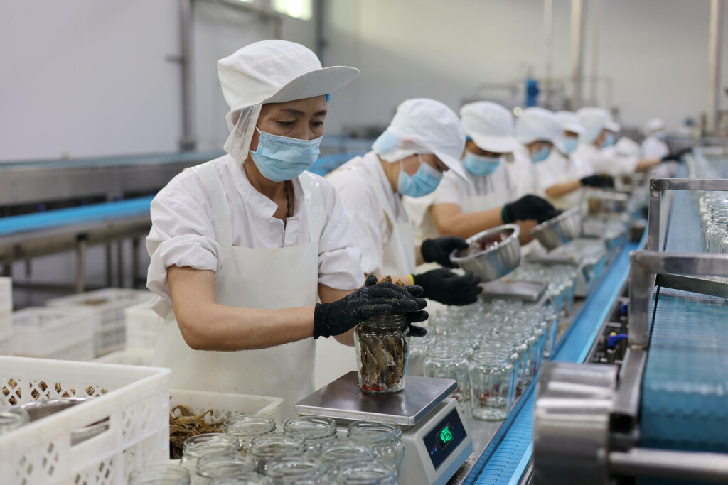 China Shandong Food Industry Workers packing dried mackerel at a canned fish processor in Laoling city in east China s Shandong province Saturday, Sept. 09, 2023., Credit:CHU BAORUI / Avalon CHINA, SHANDONG, LAOLING PUBLICATIONxNOTxINxUKxFRAxUSA Copyright: xCHUxBAORUIx/xAvalonx 0804322384