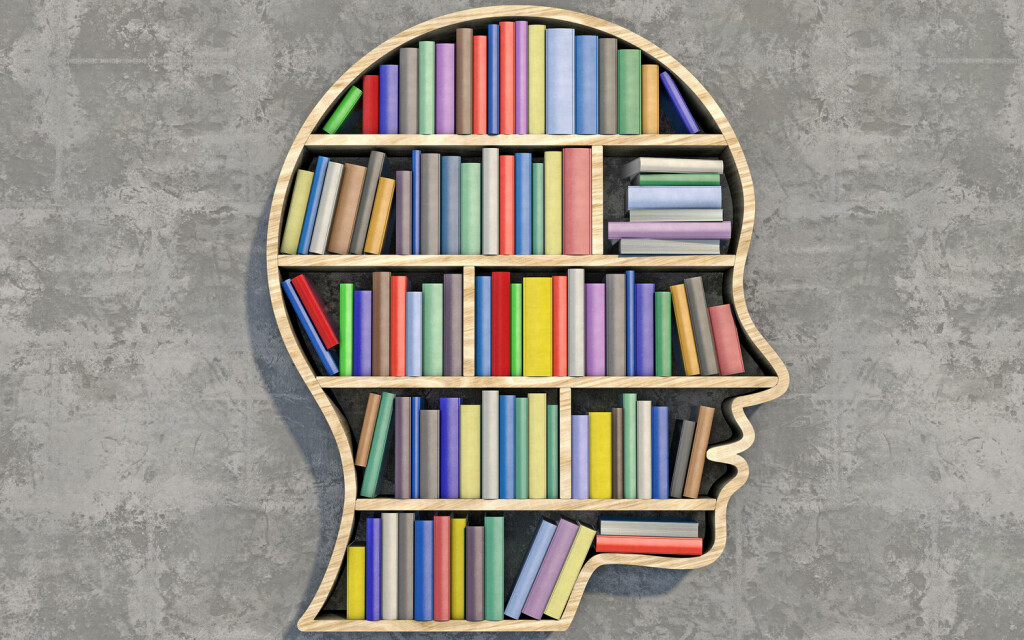 Welt des Wissens Regal in Kopfform mit bunten Büchern bestückt. *** World of knowledge shelf in head shape equipped with colorful books
