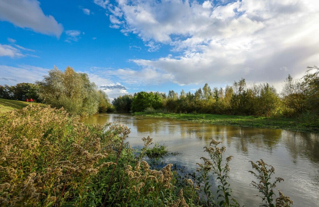 Bergkamen, Ruhrgebiet, Nordrhein-Westfalen, Deutschland - Herbstlandschaft an der Seseke. Die renaturierte Seseke, ein N