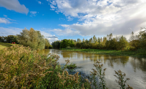 Bergkamen, Ruhrgebiet, Nordrhein-Westfalen, Deutschland - Herbstlandschaft an der Seseke. Die renaturierte Seseke, ein Nebenfluss der Lippe, wurde zum naturnahem Gewaesser umgestaltet, Hochwasserschutz und Biodiversitaet durch neu gestaltete Ueberflutungsflaechen. Die Seseke ist nach dem Bau eines parallel verlaufenden Abwasserkanals jetzt abwasserfrei, war vorher ein offener, oberirdischer Schmutzwasserkanal, Mischwasserkanal mit Oberflaechenwasser und Abwasser. Bergkamen Nordrhein-Westfalen Deutschland *** Bergkamen, Ruhr, North Rhine-Westphalia, Germany Autumn landscape on the Seseke The renaturalized Seseke, a tributary of the Lippe, has been transformed into a near-natural watercourse, flood protection and biodiversity through redesign